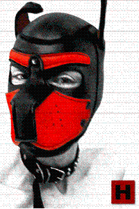 Pinterest Gallery by HardGaySexSlave: men's fashion, leather, sneakers, and sensuality
