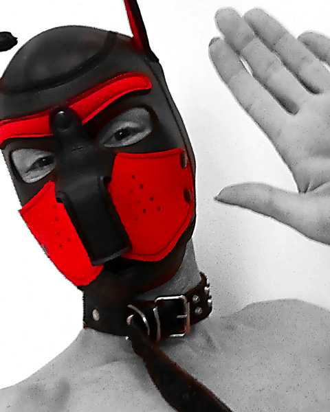 HardGaySexSlave.com logo: hardcore gay BDSM meetups and experience sharing